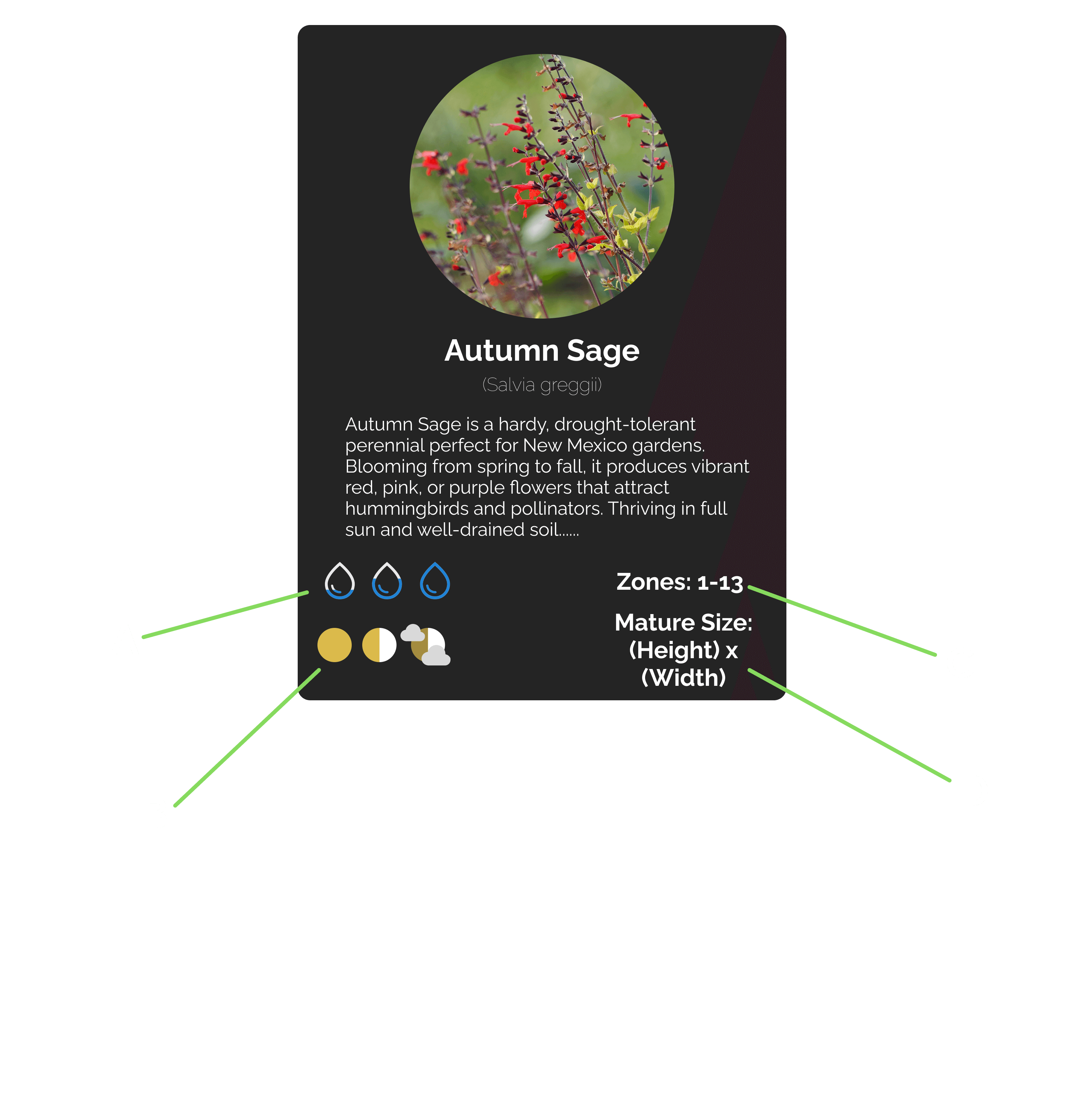 Plant Card Key