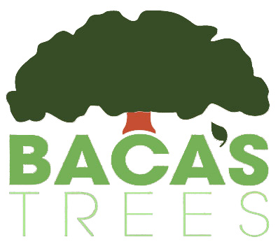 Baca Trees